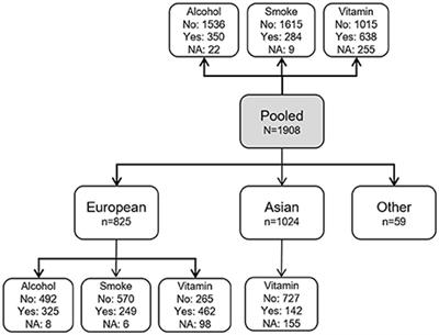 A Genome-Wide Search for Gene-Environment Effects in Isolated Cleft Lip with or without Cleft Palate Triads Points to an Interaction between Maternal Periconceptional Vitamin Use and Variants in ESRRG